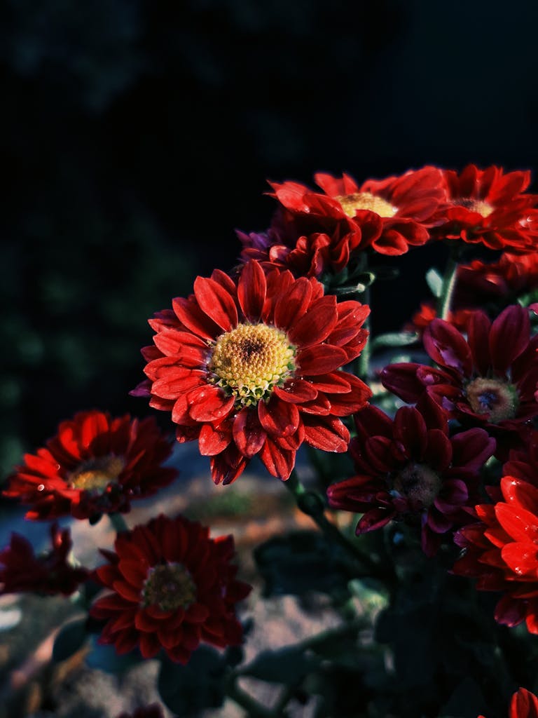 Easter cake decorated with fruits and flowers, adorned with eggs on a lace tablecloth.